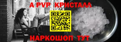 стаф Сланцы