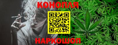 стаф Сланцы