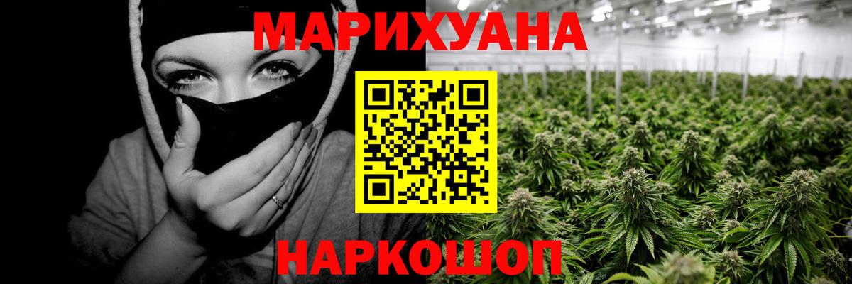 Бошки марихуана Bruce Banner  Шишки марихуана конопля  Конопля ГИДРОПОН  Вход с VPN  Семилуки 
